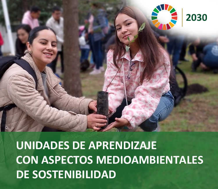 Plan de accesibilidad