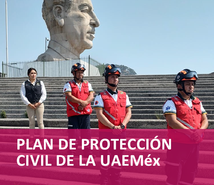 Plan de accesibilidad