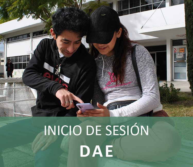 Administradores