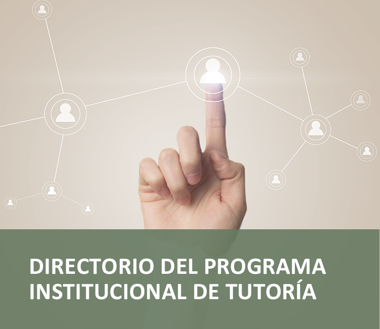Estructura organizacional